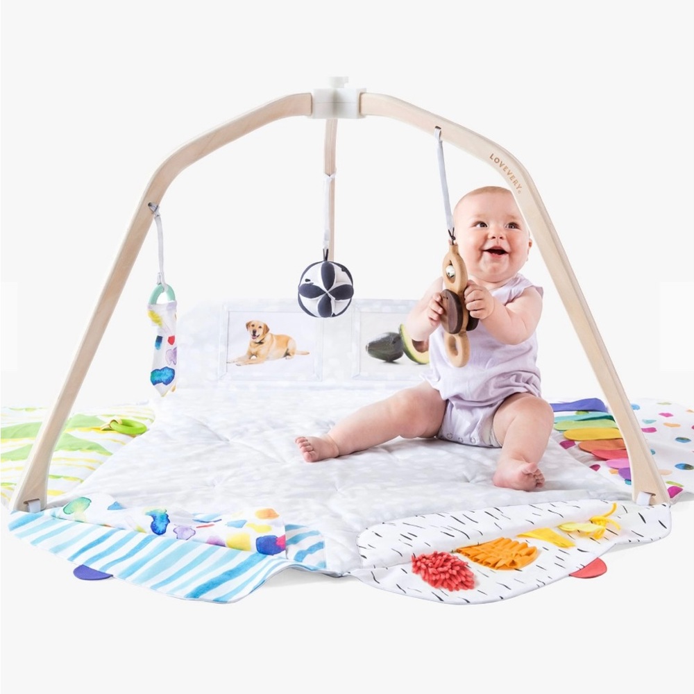Lovevery The Play Gym - Award-Winning Activity Gym & Play Mat (orig $140)